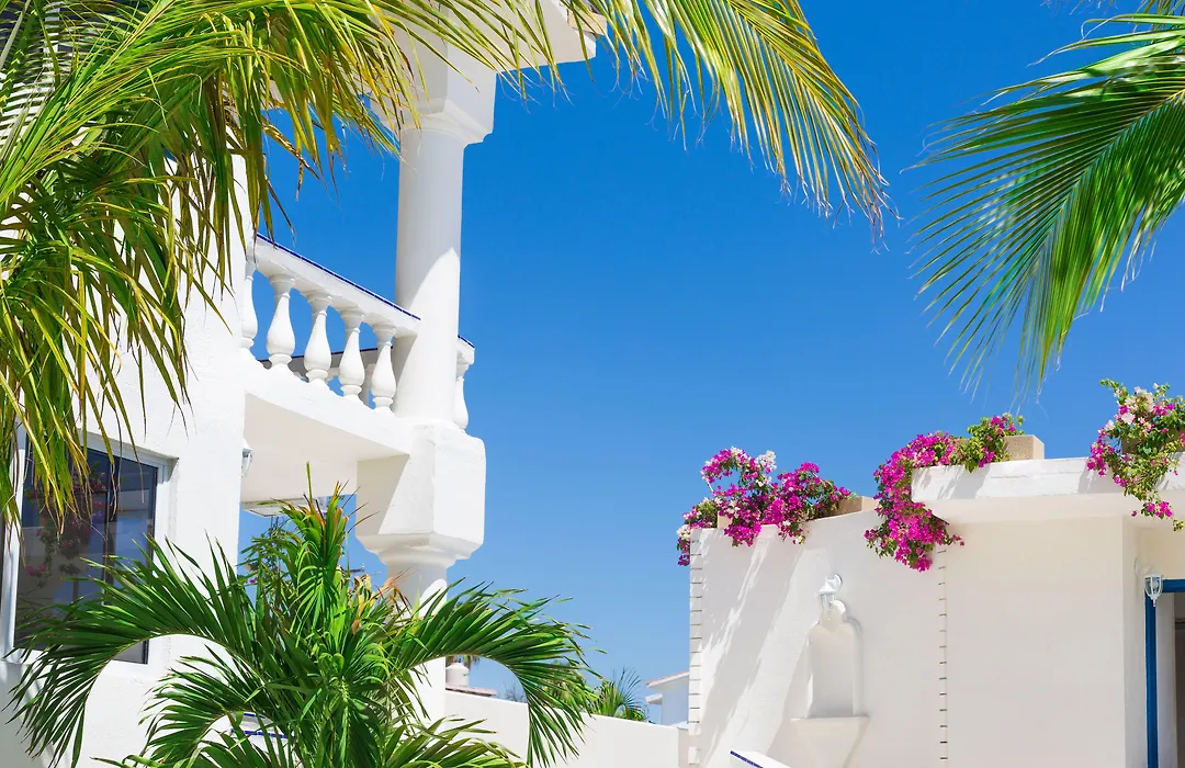 Mar Del Cabo By Velas Resorts Adults Only-1